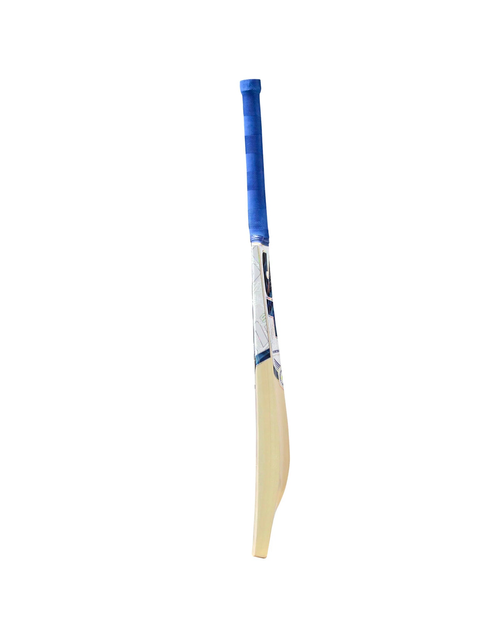 Zenith EW bat_0003_Background copy